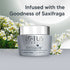 Lotus Herbals White Glow Nourishing Night Cream - Skin Whitening & Brightening